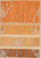 Picture 17 of 146 from [Gazes, 1890-1901; collection Roubaudi et Fils] (1901), leaf 12