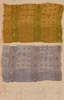 Picture 23 of 146 from [Gazes, 1890-1901; collection Roubaudi et Fils] (1901), leaf 14