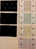An illustration from [Gazes, 1890-1901; collection Roubaudi et Fils] (1901)