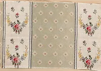 Picture 30 of 146 from [Gazes, 1890-1901; collection Roubaudi et Fils] (1901), leaf 19