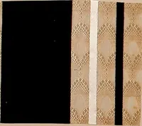 Picture 51 of 146 from [Gazes, 1890-1901; collection Roubaudi et Fils] (1901), leaf 44