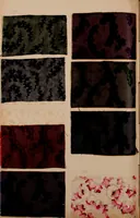 An illustration from [Gazes, 1890-1901; collection Roubaudi et Fils] (1901)