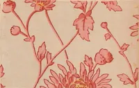 An illustration from [Gazes, 1890-1901; collection Roubaudi et Fils] (1901)