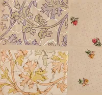 An illustration from [Gazes, 1890-1901; collection Roubaudi et Fils] (1901)