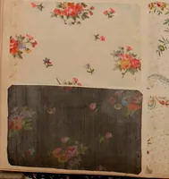 An illustration from [Gazes, 1890-1901; collection Roubaudi et Fils] (1901)
