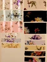 An illustration from [Gazes, 1890-1901; collection Roubaudi et Fils] (1901)