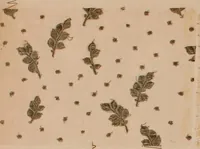 An illustration from [Gazes, 1890-1901; collection Roubaudi et Fils] (1901)