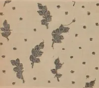 An illustration from [Gazes, 1890-1901; collection Roubaudi et Fils] (1901)