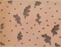 Picture 84 of 146 from [Gazes, 1890-1901; collection Roubaudi et Fils] (1901), leaf 62