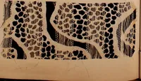 Picture 87 of 146 from [Gazes, 1890-1901; collection Roubaudi et Fils] (1901), leaf 64