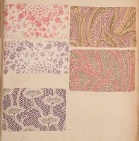 An illustration from [Gazes, 1890-1901; collection Roubaudi et Fils] (1901)