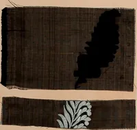 Picture 6 of 146 from [Gazes, 1890-1901; collection Roubaudi et Fils] (1901), leaf 7