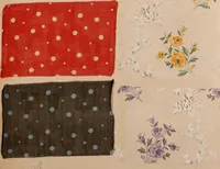 An illustration from [Gazes, 1890-1901; collection Roubaudi et Fils] (1901)