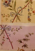 Picture 7 of 146 from [Gazes, 1890-1901; collection Roubaudi et Fils] (1901), leaf 8