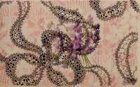 Picture 116 of 146 from [Gazes, 1890-1901; collection Roubaudi et Fils] (1901), leaf 81