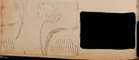 Picture 143 of 146 from [Gazes, 1890-1901; collection Roubaudi et Fils] (1901), leaf 92
