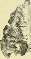 An illustration from Gazette des beaux-arts (1859)