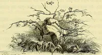 An illustration from Gazette des beaux-arts (1859)