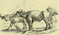 An illustration from Gazette des beaux-arts (1859)