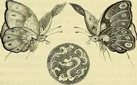 An illustration from Gazette des beaux-arts (1859)