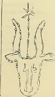 Picture 53 of 71 from Gazette des beaux-arts (1859), leaf 249
