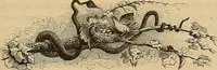 Picture 50 of 58 from Gazette des beaux-arts (1859), leaf 305