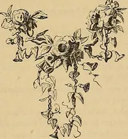 Picture 58 of 58 from Gazette des beaux-arts (1859), leaf 387