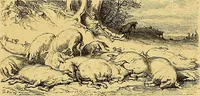 An illustration from Gazette des beaux-arts (1859)