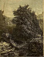 An illustration from Gazette des beaux-arts (1859)
