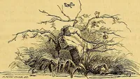 Picture 34 of 66 from Gazette des beaux-arts (1859), leaf 252