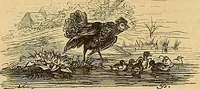 An illustration from Gazette des beaux-arts (1859)