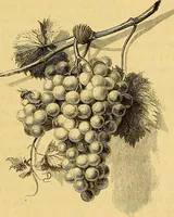 An illustration from Gazette des beaux-arts (1859)