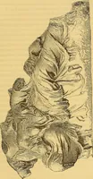 Picture 23 of 58 from Gazette des beaux-arts (1859), leaf 168