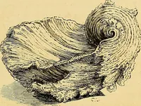 An illustration from Gazette des beaux-arts (1859)
