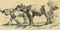 An illustration from Gazette des beaux-arts (1859)