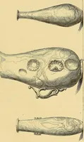 Picture 38 of 119 from Gazette des beaux-arts (1859), leaf 243