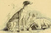 An illustration from Gazette des beaux-arts (1859)