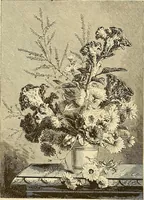 Picture 80 of 143 from Gazette des beaux-arts (1859), leaf 297