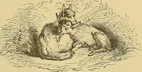 An illustration from Gazette des beaux-arts (1859)