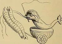 An illustration from Gazette des beaux-arts (1859)