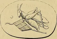 Picture 76 of 142 from Gazette des beaux-arts (1859), leaf 262