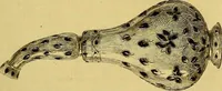 Picture 11 of 142 from Gazette des beaux-arts (1859), leaf 43