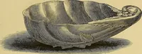 Picture 13 of 142 from Gazette des beaux-arts (1859), leaf 45