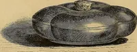 Picture 14 of 142 from Gazette des beaux-arts (1859), leaf 46