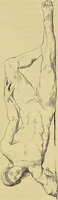 An illustration from Gazette des beaux-arts (1859)