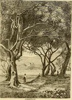 An illustration from Gazette des beaux-arts (1859)