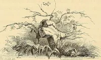 Picture 72 of 138 from Gazette des beaux-arts (1859), leaf 269
