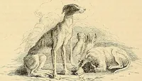 An illustration from Gazette des beaux-arts (1859)