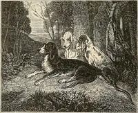 Picture 82 of 133 from Gazette des beaux-arts (1859), leaf 417