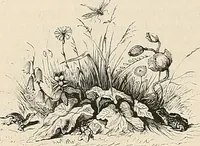 An illustration from Gazette des beaux-arts (1859)